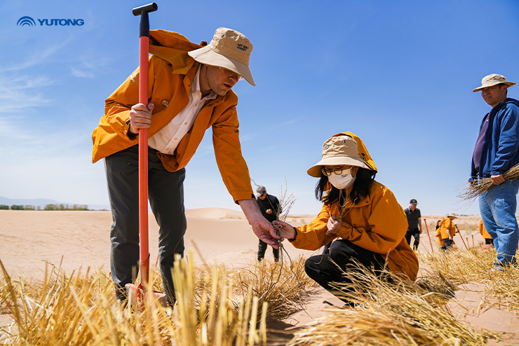  Forest بمناسبة يوم الأرض 2025: زراعة شجرة واحدة مُقابل كل حافلة قَيد التشغيل 