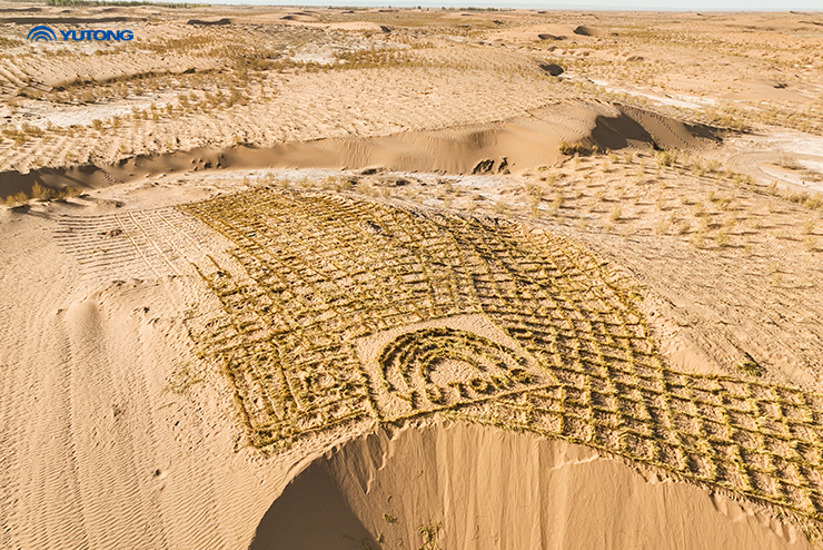  Forest بمناسبة يوم الأرض 2025: زراعة شجرة واحدة مُقابل كل حافلة قَيد التشغيل 
